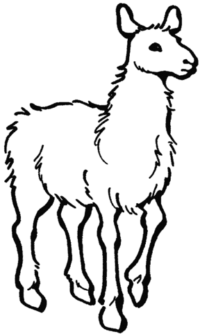 Alpaca  Coloring Page